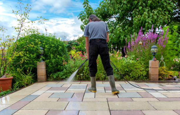 Best Winterizing Services  in Neoga, IL